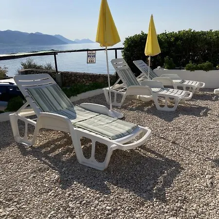 Ruvo 4 *